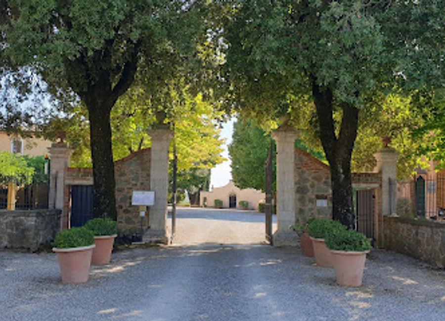 Discover Avignonesi Winery in Montepulciano - a Tuscan treasure for wine lovers featuring stunning views, exquisite tastings, and rich winemaking traditions.