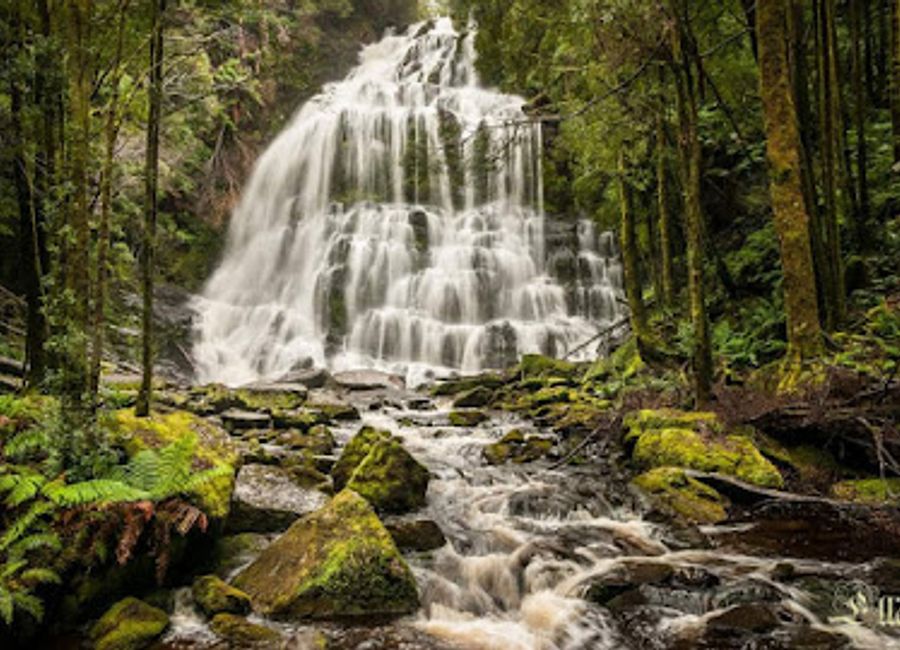 Experience the breathtaking beauty of Nelson Falls, a stunning natural attraction in Tasmania, perfect for nature lovers and adventure seekers.