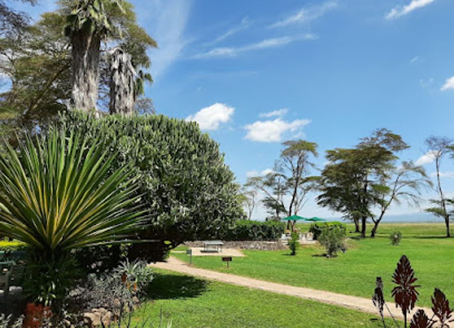 Explore Vwaza Marsh Wildlife Reserve, a serene haven in Malawi teeming with wildlife and stunning landscapes, perfect for nature lovers and adventurers alike.