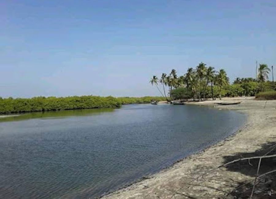 Discover the rich culture and vibrant atmosphere of Baobab Rasta in Niodior, a unique tourist attraction that showcases the beauty of Senegal.