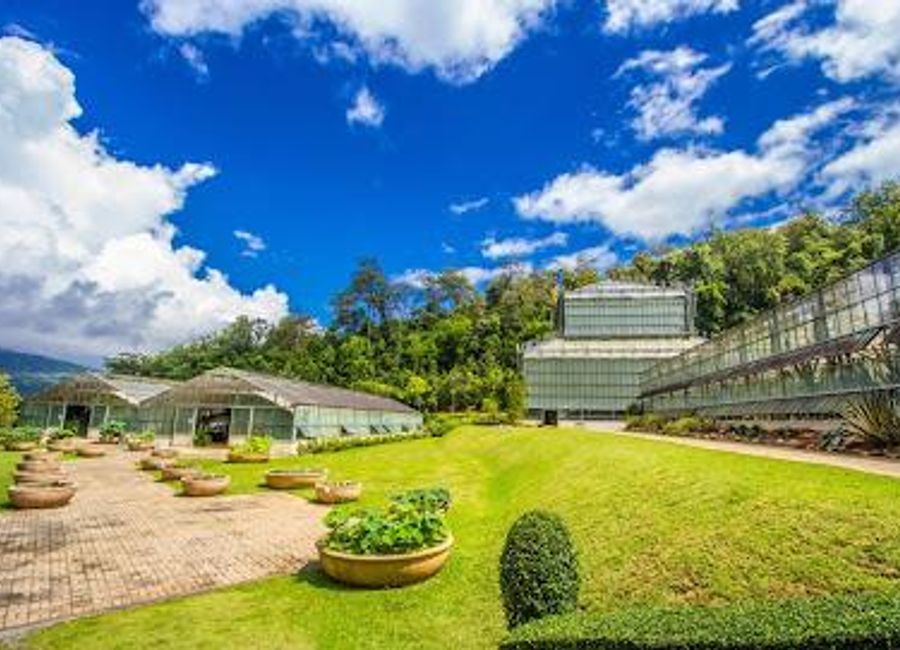 Discover the lush beauty of Queen Sirikit Botanic Garden in Chiang Mai, a serene escape showcasing Thailand's diverse flora and stunning landscapes.