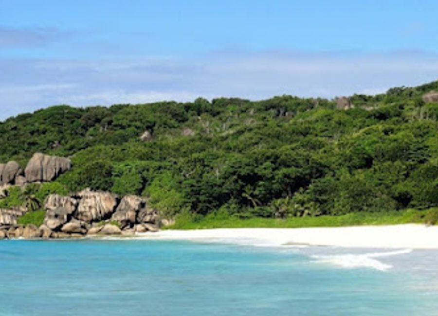 Explore the breathtaking Tropical Forest of La Digue, a stunning park filled with vibrant flora and diverse wildlife in the heart of Seychelles.