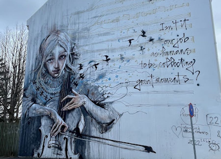 Discover the vibrant street art of Reykjavík, where every mural tells a story and transforms the city into a captivating open-air gallery.
