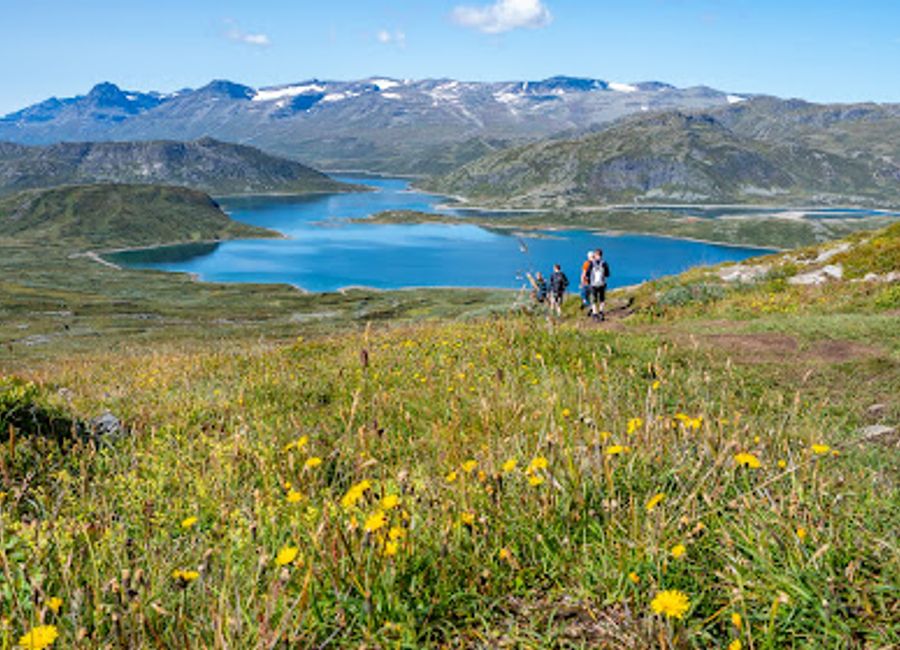Explore Bitihorn: A breathtaking peak in Jotunheimen National Park, offering stunning views and exceptional hiking trails for all adventurers.