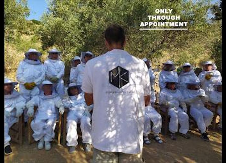 Discover the enchanting world of honey at MoKa Honey Stories in Itea, Greece, where tradition and flavor combine for an unforgettable experience.