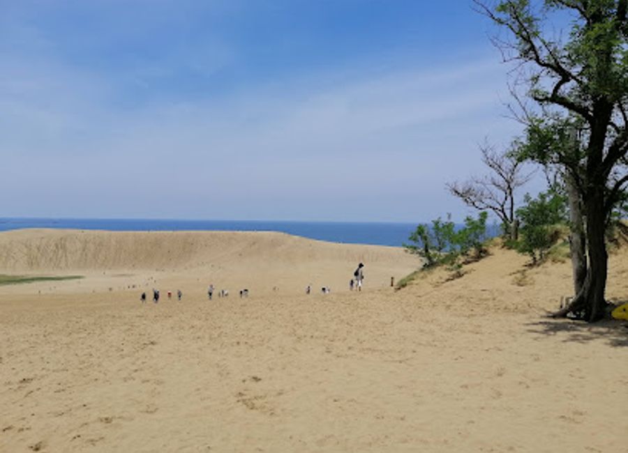 Experience breathtaking views and serene landscapes at the Sakyu Center Observation Terrace, near the enchanting Tottori Sand Dunes.