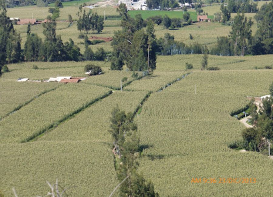 Experience the enchanting beauty and rich culture of Antaracá, a hidden gem in Acopampa, Peru, perfect for nature lovers and cultural enthusiasts.