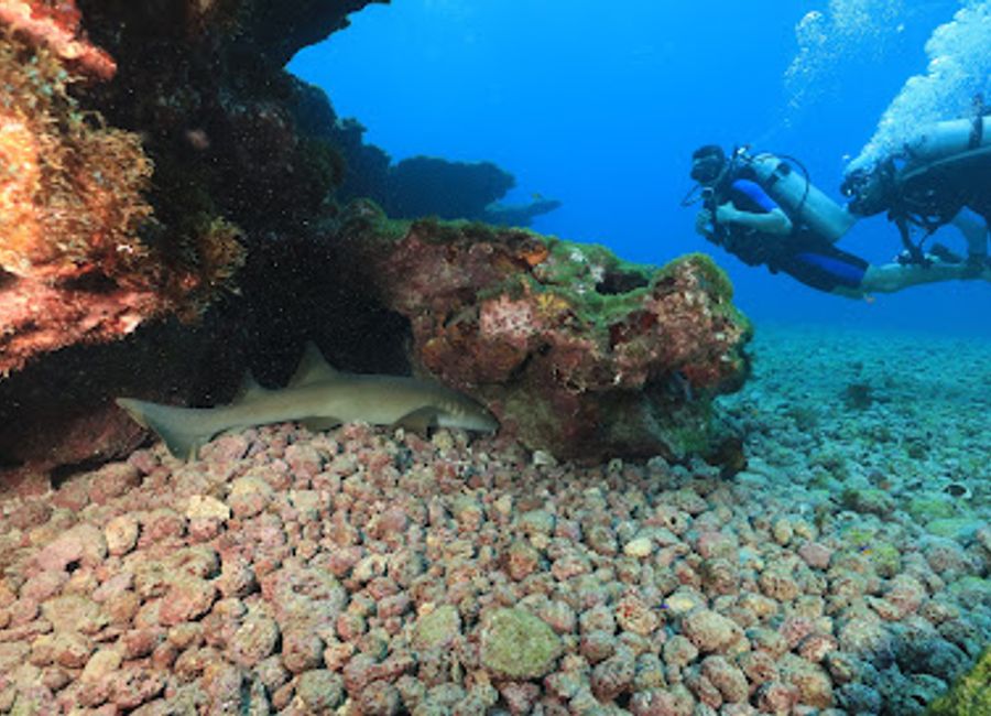 Explore Ressureta in Fernando de Noronha: a top diving spot with clear waters, vibrant marine life, and unforgettable underwater adventures.