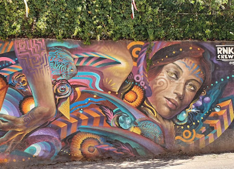 Discover the vibrant artistry of Murales Guadalupe in San Miguel de Allende, where local culture and creativity come alive in stunning murals.