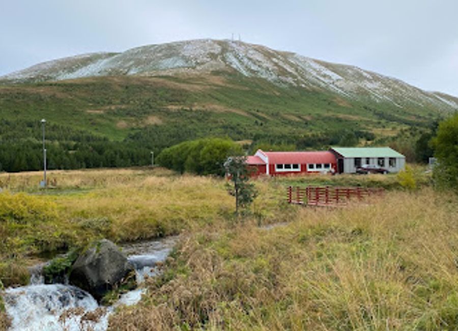 Discover the natural beauty of Husavik Park, a serene haven in Húsavík, Iceland, perfect for relaxation, family fun, and stunning vistas.