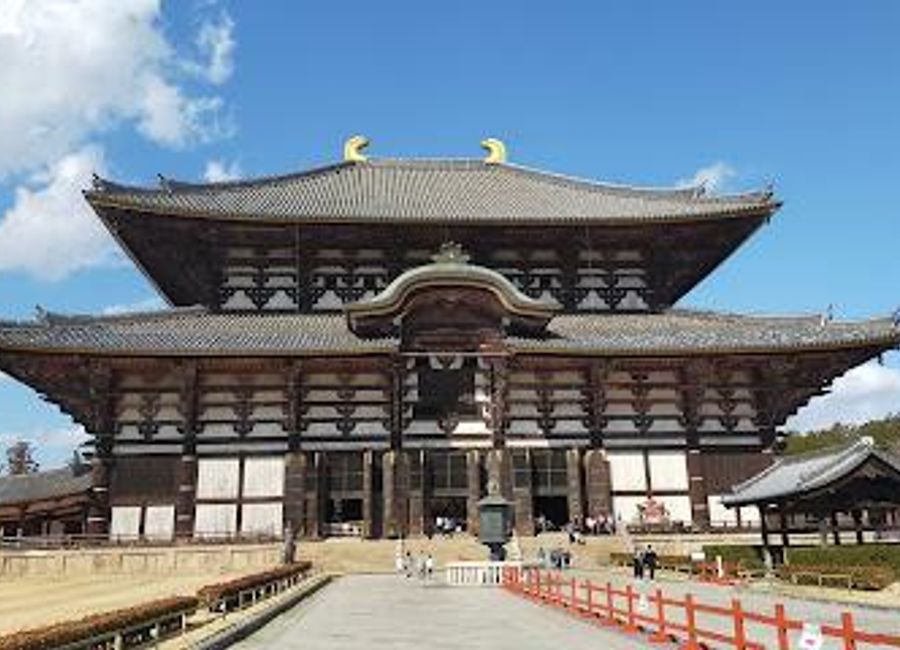 Explore Nara Park, where tranquil nature meets Japan's rich cultural heritage amidst free-roaming deer and historic landmarks.