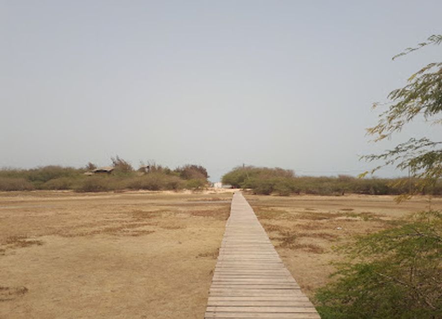 Explore Langue de Barbarie National Park, a serene ecological haven in Senegal with diverse wildlife, stunning landscapes, and unforgettable sunsets.