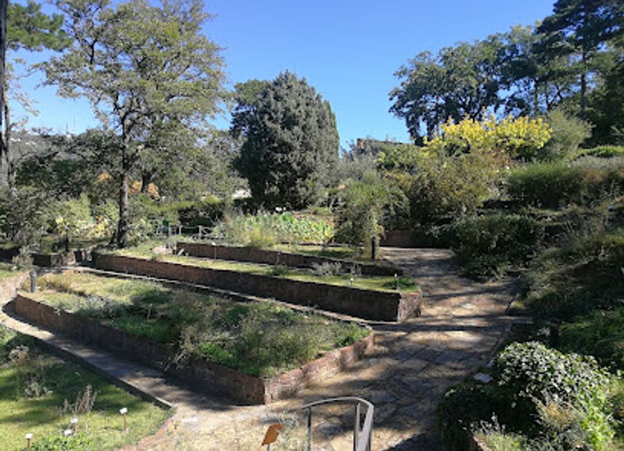 Explore the lush beauty and serenity of Trieste's Municipal Botanical Garden, a perfect escape for nature lovers and a haven of tranquility.