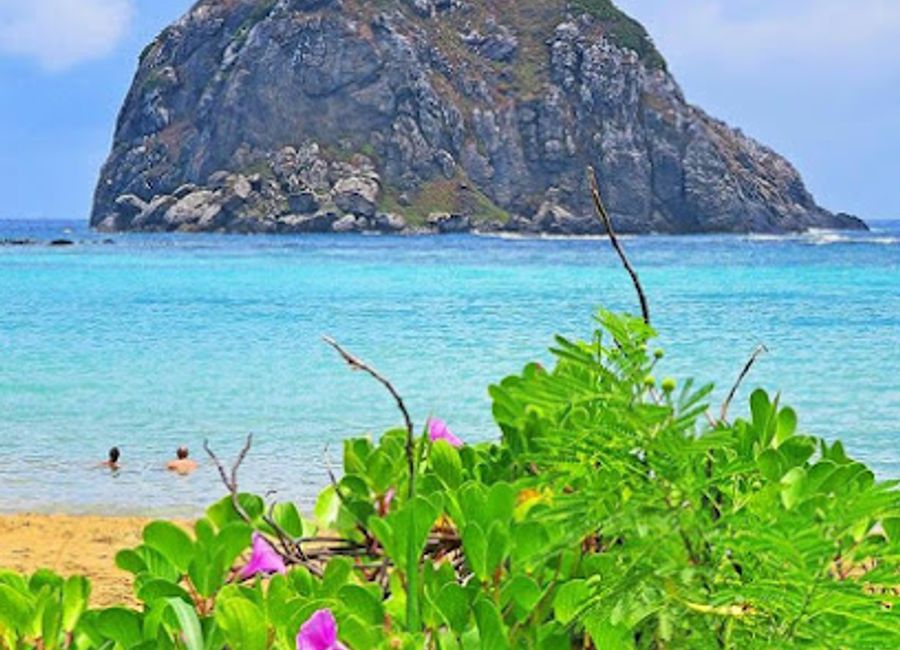 Discover Sueste Beach in Fernando de Noronha: a haven for sea turtles, snorkeling, and serene coastal beauty. A must-visit ecological paradise!