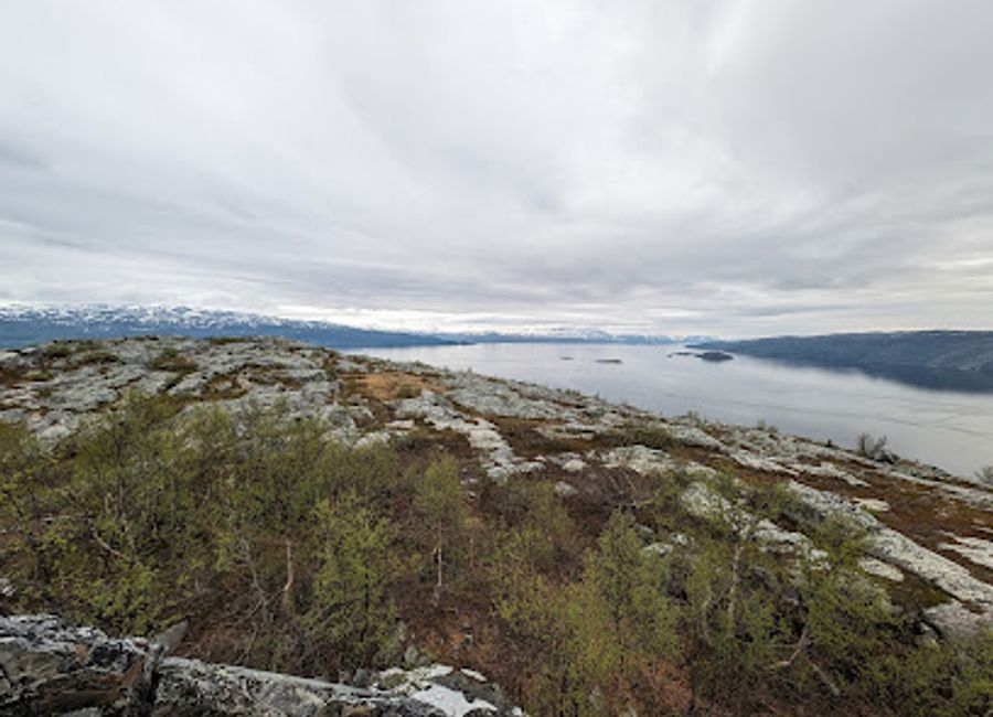 Discover the stunning Komsatoppen Viewpoint in Alta, Norway, where breathtaking landscapes meet serene tranquility in a perfect outdoor escape.