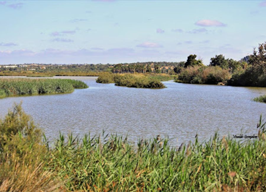 Experience the serene beauty of Lagoa dos Salgados, a birdwatcher's paradise in the heart of the Algarve, rich in biodiversity and natural beauty.