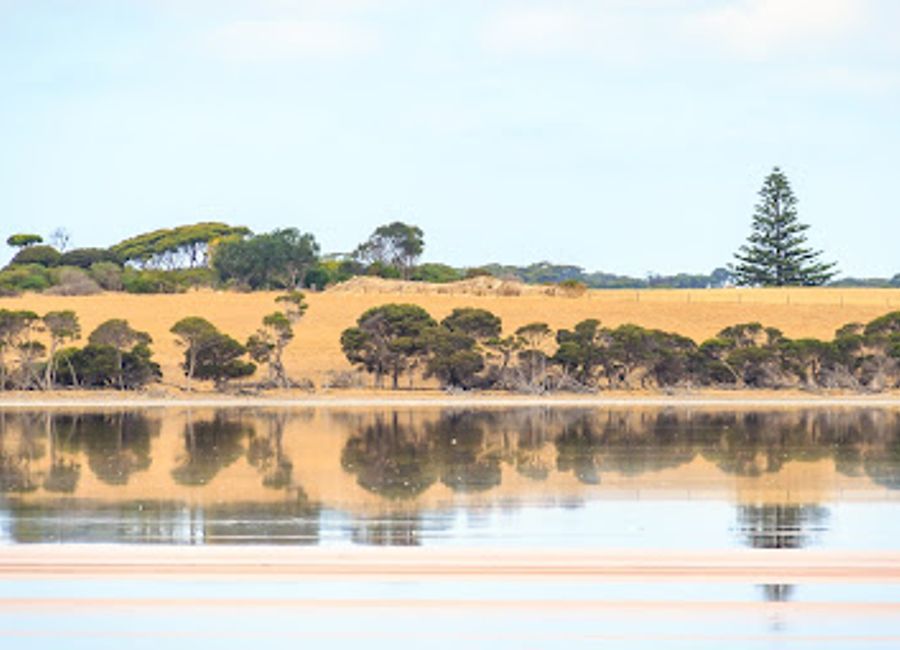 Discover the serene beauty of Salt Lagoon in Kangaroo Island: a shimmering landscape perfect for reflection and photography.