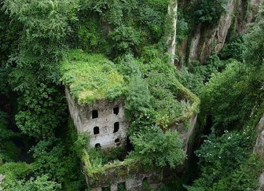 Explore the stunning Vallone dei Mulini in Sorrento, where breathtaking scenery meets rich history in a picturesque Mediterranean setting.