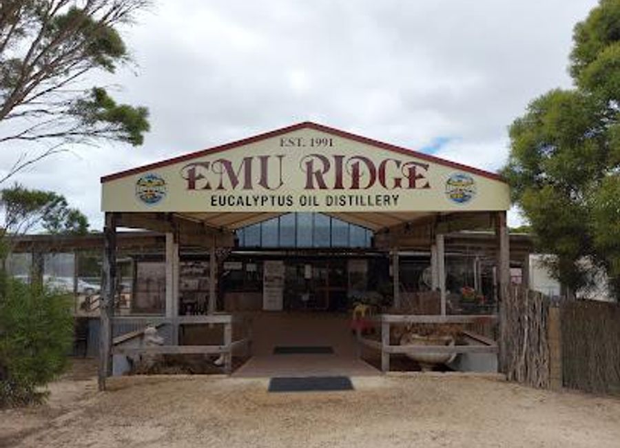 Explore the natural beauty and wellness of Emu Ridge Eucalyptus Oil Distillery in South Australia, a unique tourist attraction blending nature and local culture.