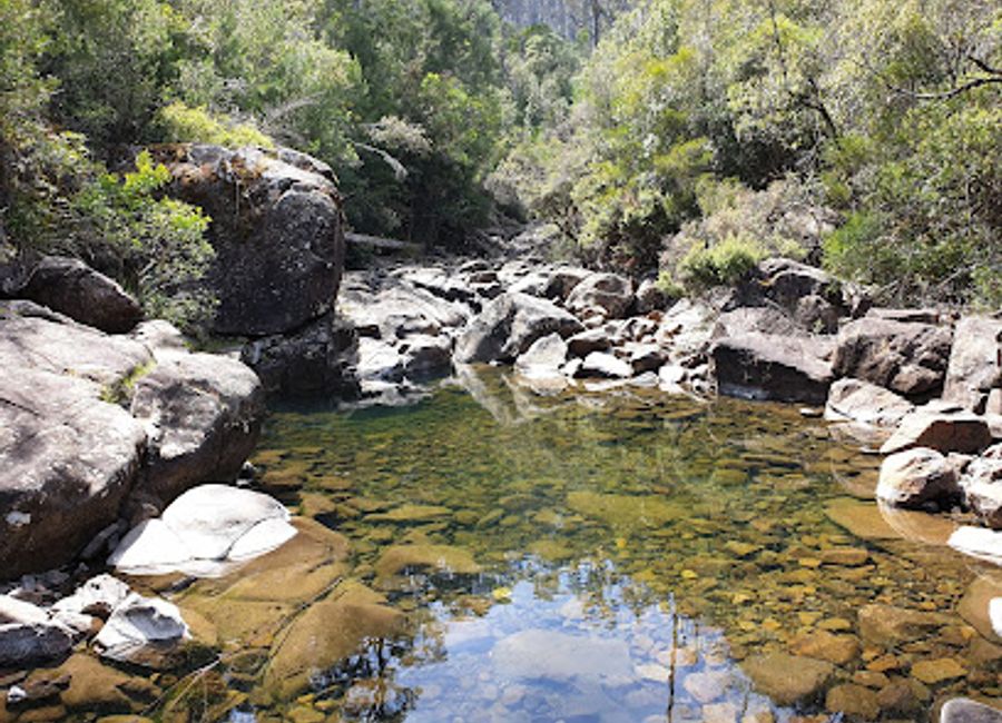 Explore the treetops and experience thrilling zip lines at Treetops Adventure Hollybank in Tasmania, where adventure meets stunning natural beauty.
