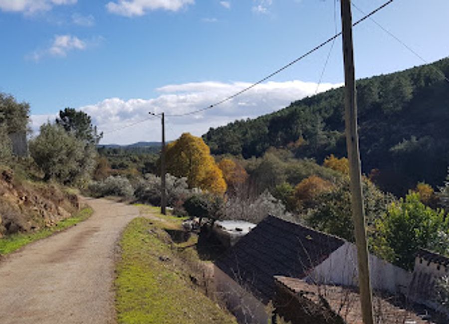 Explore the breathtaking Serra de São Mamede, a mountain peak in Portugal offering stunning views, diverse wildlife, and unforgettable outdoor adventures.