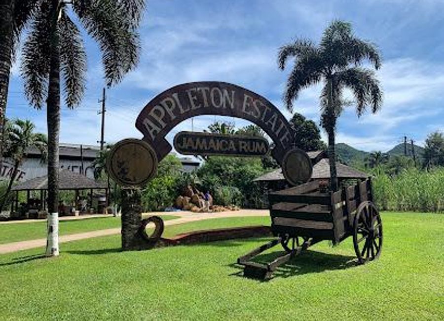 Experience the rich tradition of rum-making at Appleton Estate, a premier distillery in the heart of Jamaica, offering unforgettable tours and tastings.