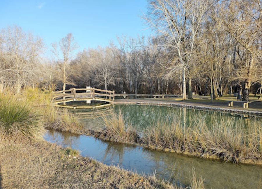 Explore the lush landscapes and tranquil ambiance of Parc de la Mitjana, a stunning park in Lleida offering a perfect blend of nature and relaxation.