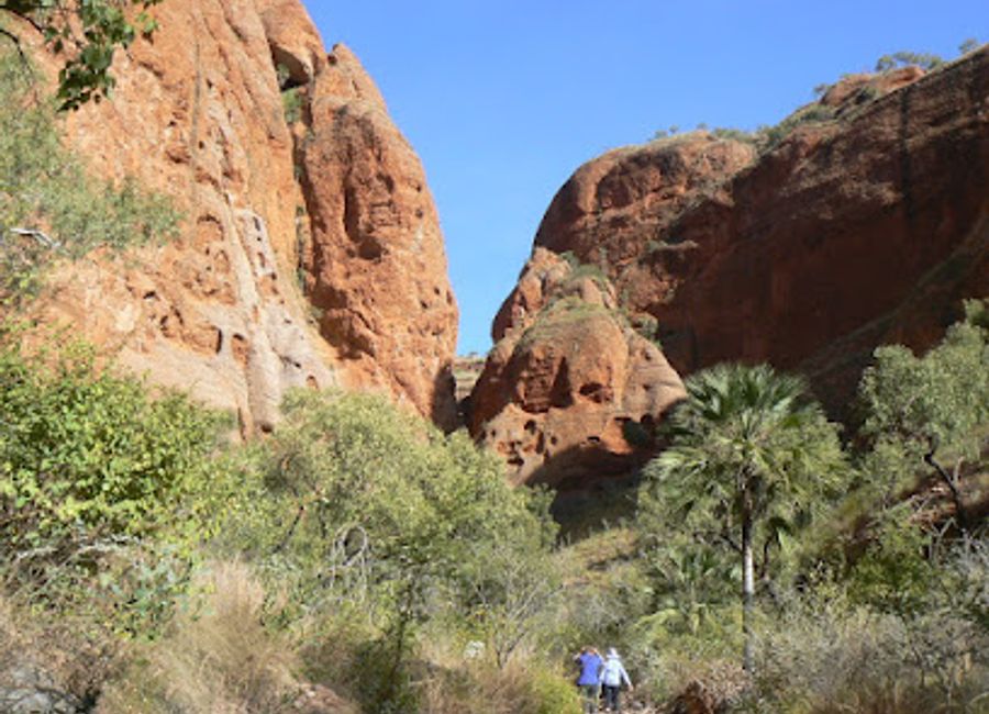 Explore Echidna Chasm in Purnululu National Park, a breathtaking natural wonder of towering cliffs and vibrant rock formations in Western Australia.