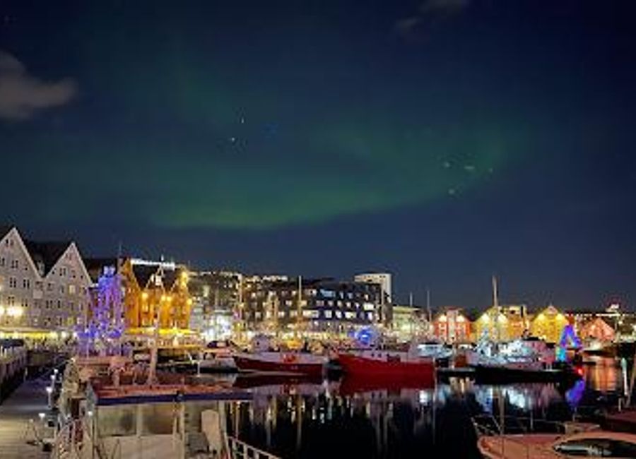 Explore the breathtaking landscapes and wildlife of Norway's Arctic with Arctic Cruise in Norway AS, your premier tour operator in Tromsø.