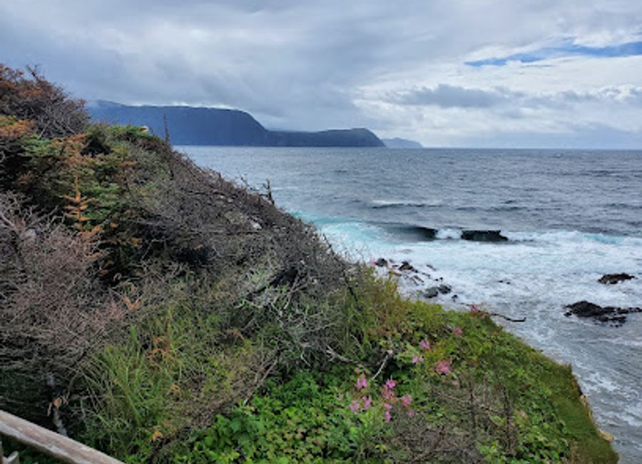 Explore Lobster Cove Head Lighthouse, a historical gem in Gros Morne National Park, where maritime heritage meets breathtaking natural beauty.