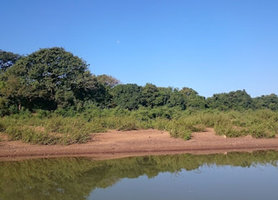 Discover the serene beauty and diverse wildlife of Foret de Diambour, Senegal's enchanting national forest, perfect for nature lovers and adventure seekers.