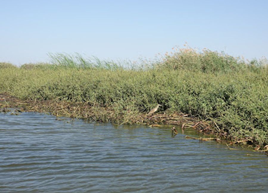 Discover the serene beauty and vast birdlife of Djoudj National Bird Sanctuary, a UNESCO World Heritage treasure in Senegal.