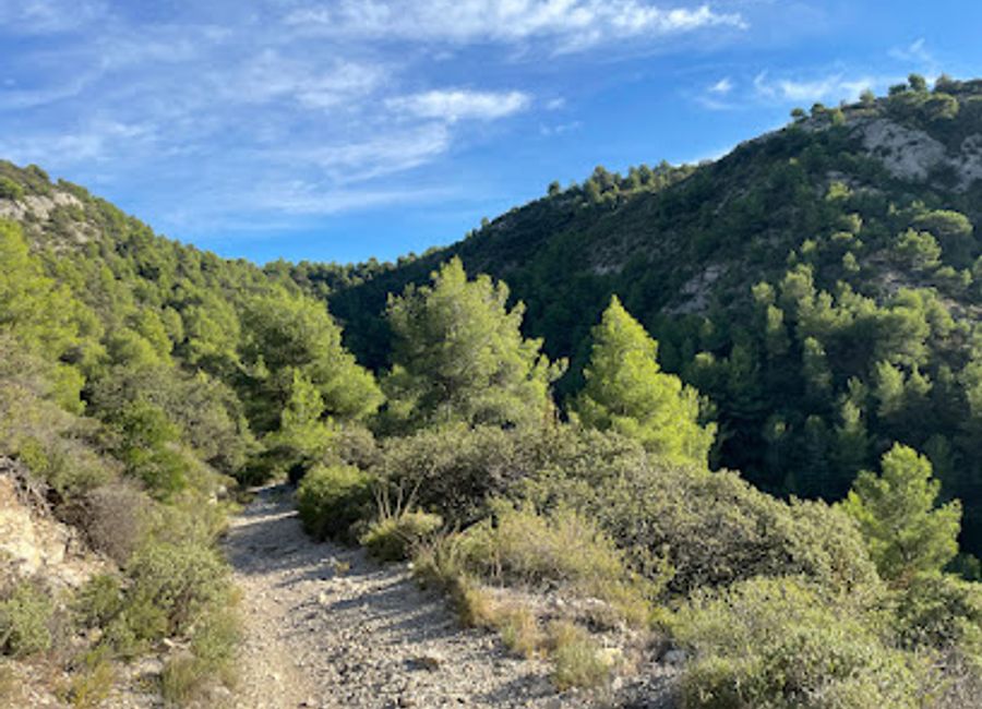 Discover the enchanting Luberon National Park in Provence: a blend of stunning landscapes, hilltop villages, and rich biodiversity, a UNESCO Biosphere Reserve.
