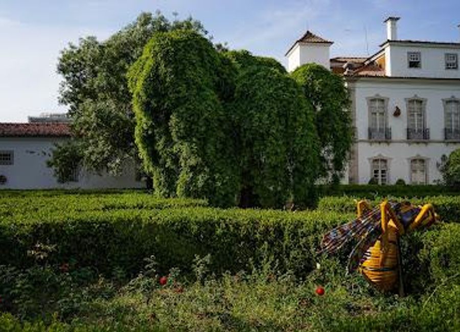 Discover Lisbon's history and culture at the Museum of Lisbon - Pimenta Palace, a captivating blend of art, architecture, and serene gardens.