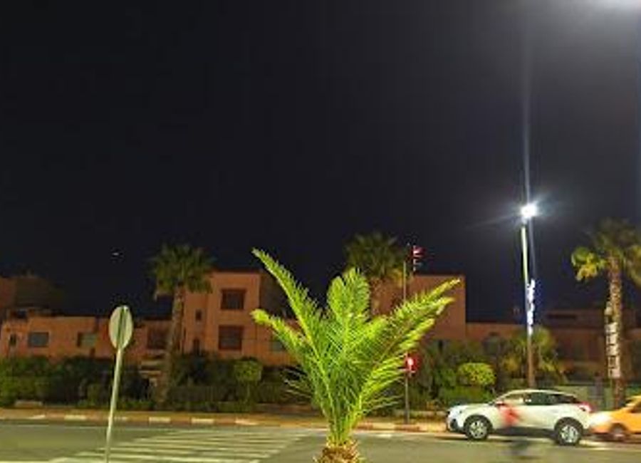 Explore the tranquil beauty of Agdal Gardens, a historical oasis in Marrakesh, perfect for relaxation and nature enthusiasts.