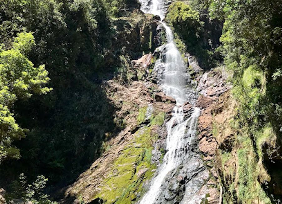 Experience the breathtaking beauty of Montezuma Falls, Tasmania's tallest waterfall, surrounded by lush landscapes and thrilling hiking adventures.