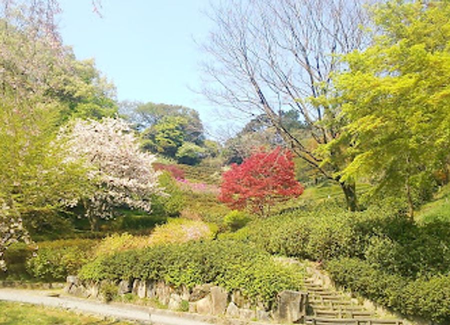 Discover tranquility and beauty in Kanazawa's 400 Year Forest, a historic arboretum perfect for nature lovers and peaceful retreats.