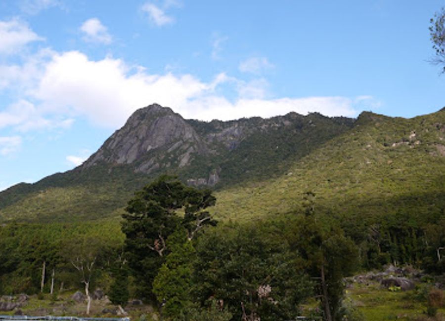 Experience the beauty of Yakushima Berry Garden, where nature meets deliciousness in a breathtaking setting.
