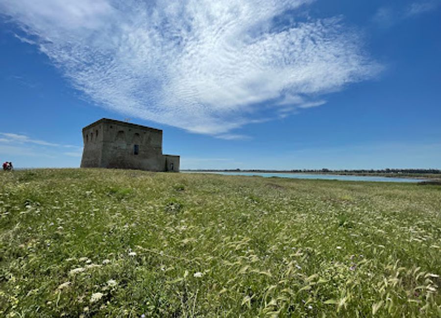 Explore Torre Guaceto Marine Protected Area: A pristine sanctuary of nature, wildlife, and breathtaking coastal beauty on the Adriatic Sea.