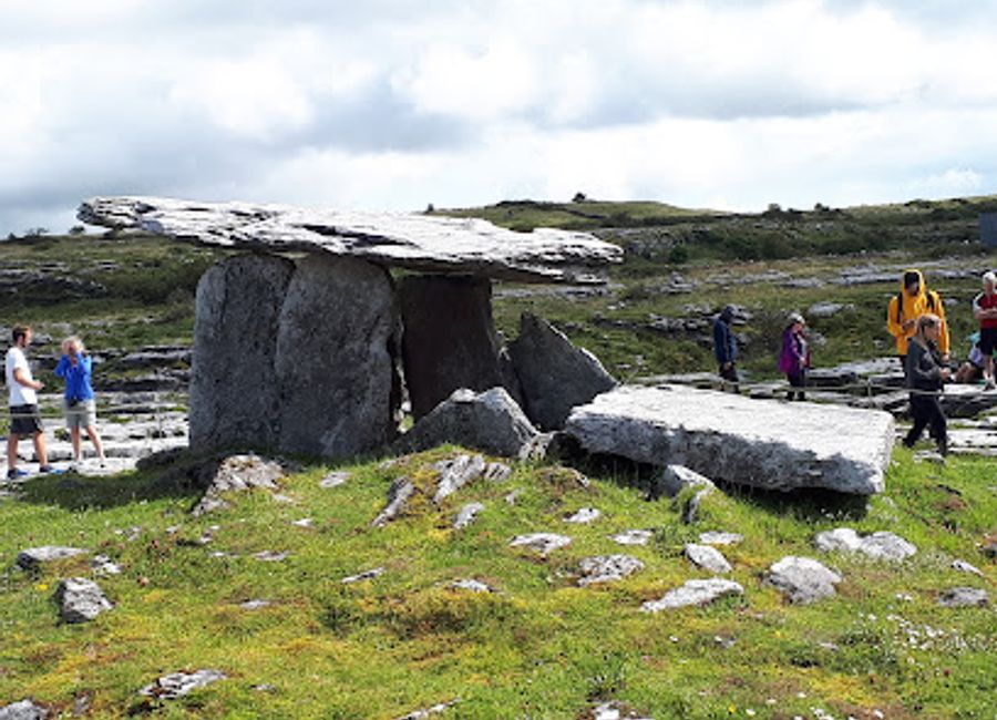 Explore the fascinating Burren region at The Burren Visitor Centre & Cafe, where nature, culture, and local cuisine come together.