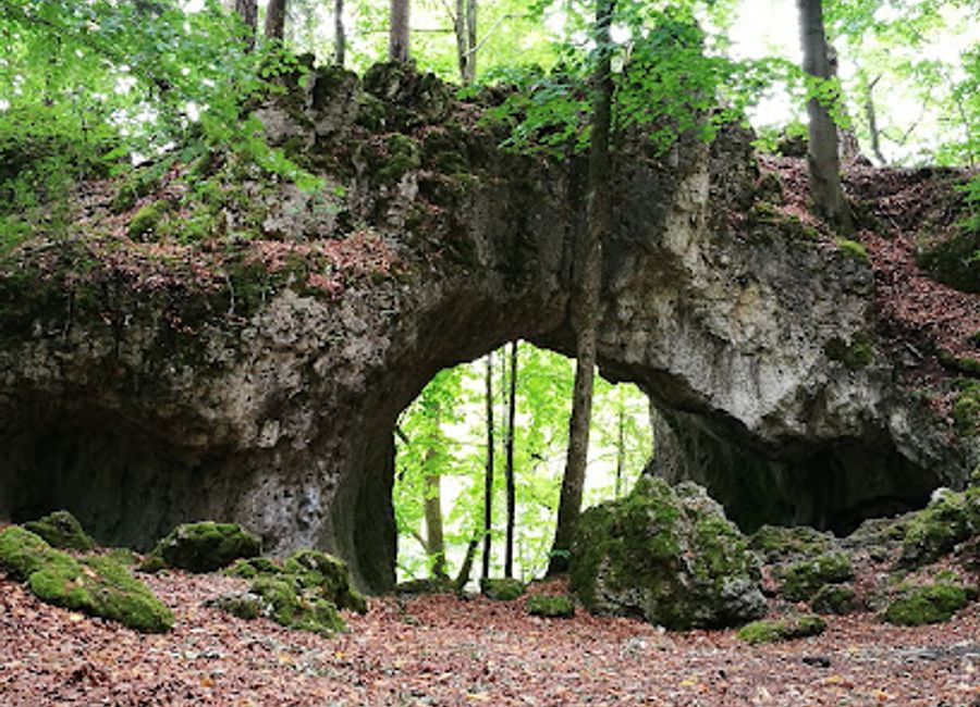 Explore the stunning Schönsteinhöhle in Wiesenttal, a breathtaking hiking area filled with captivating caves and picturesque landscapes, perfect for nature lovers.