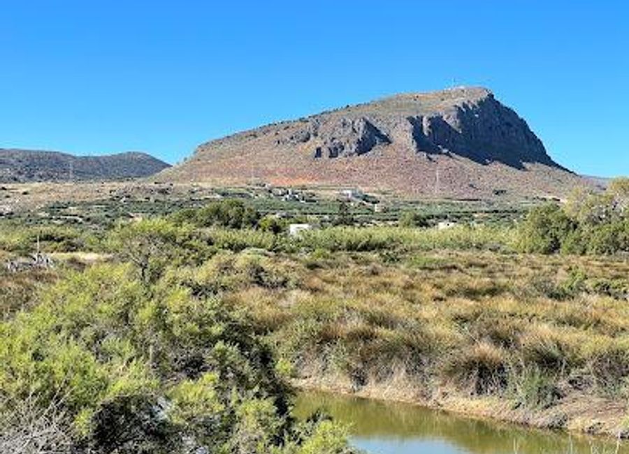 Explore the Aposelemis Wildlife Refuge, a stunning sanctuary in Crete, teeming with diverse wildlife and breathtaking landscapes for nature lovers.