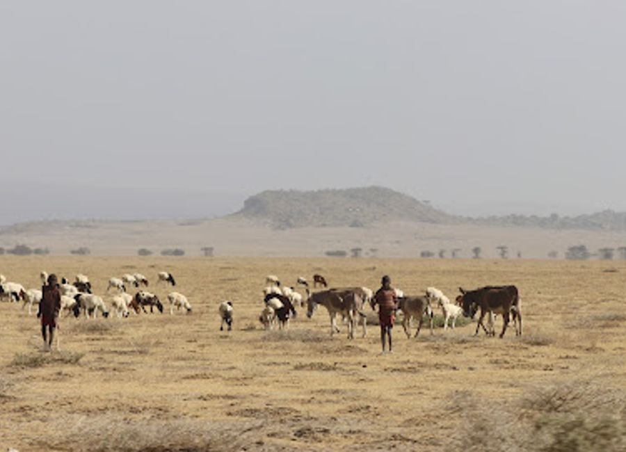 Experience tranquility at Project T Fountain, a beautiful park in Esirwa, Tanzania, perfect for relaxation and enjoying nature's beauty.
