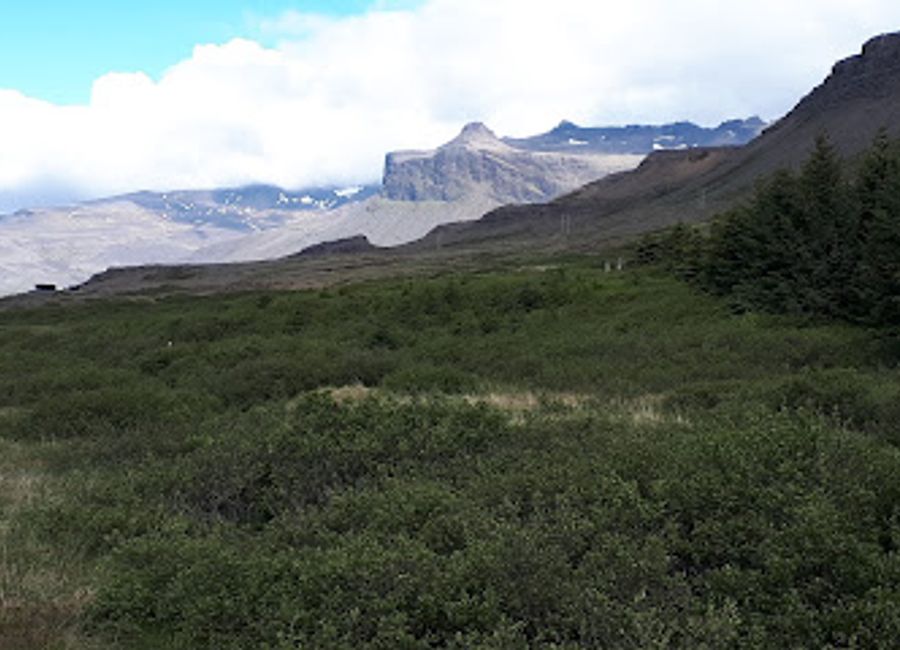 Explore the stunning Hofsstadaskogur Nature Preserve in Iceland, a tranquil retreat for nature lovers and outdoor enthusiasts amidst breathtaking landscapes.