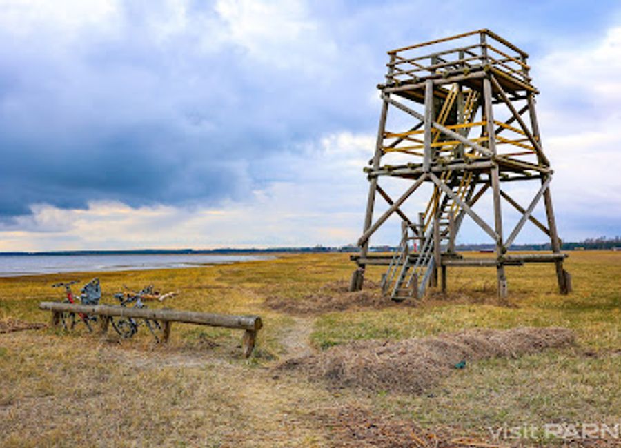 Discover the beauty of Estonian nature at Vana-Pärnu Birdwatching Tower, the perfect observation point for bird lovers and photographers alike.