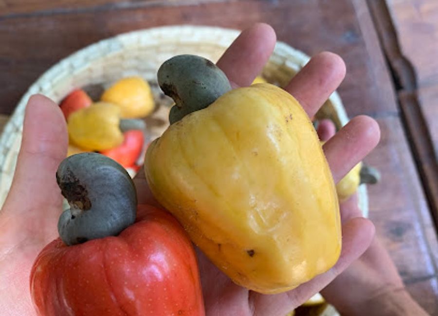 Explore the serene beauty of Paterne Cajou in Oussouye, a must-visit tourist attraction for nature lovers and culture enthusiasts.