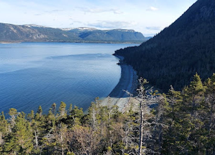 Discover the breathtaking James Cook Heritage Trail in York Harbour, NL—where nature meets history on a scenic hiking adventure.
