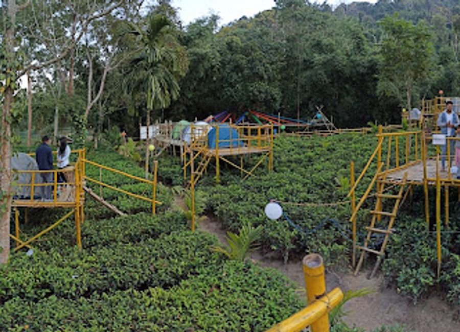 Explore the captivating beauty and eco-friendly charm of Kramsa Rock Garden in Assam, a perfect retreat for nature lovers and adventure seekers alike.