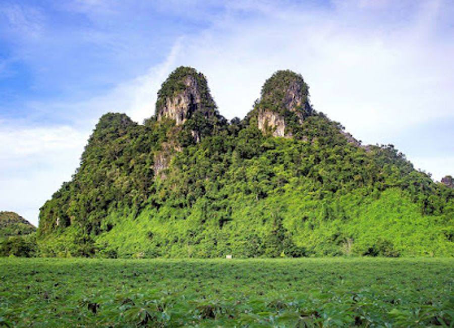 Explore the natural beauty and diverse wildlife at Núi Đôi Semiwild Enclosure in Phong Nha, a unique tourist attraction in Vietnam.
