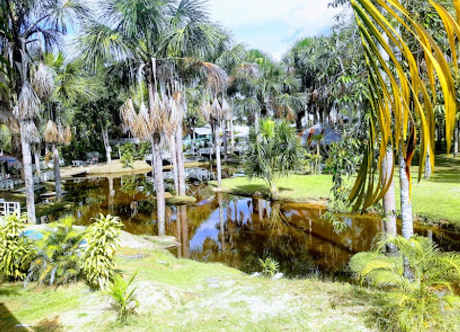 Explore the breathtaking biodiversity and serene trails of Amaru Natural Park, a hidden gem in the heart of Puerto Maldonado's Amazon rainforest.